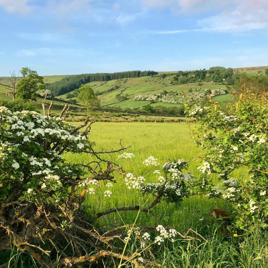 Climbers Cottage Rosedale Abbey المظهر الخارجي الصورة
